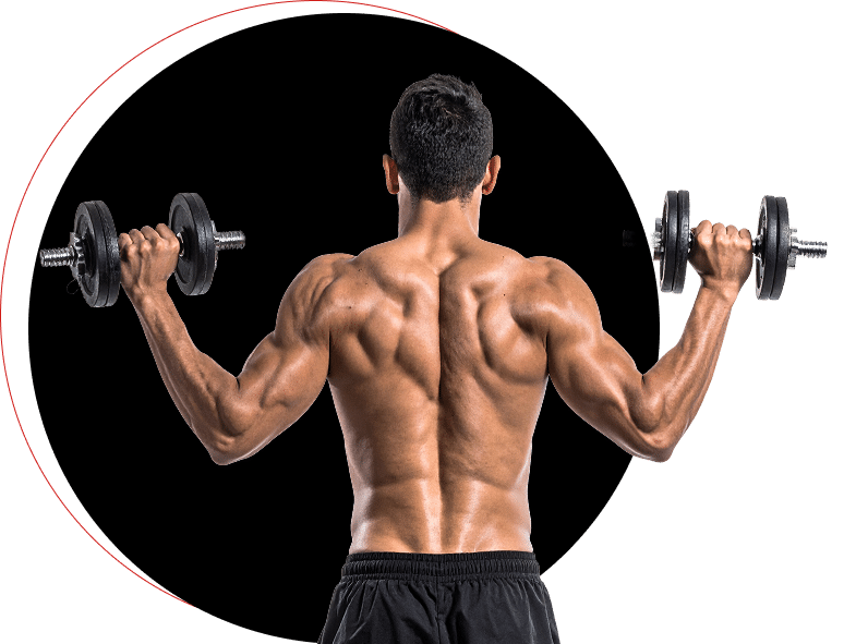 Homme musclé torse nu effectuant des curls biceps avec haltères, dos exposé, illustrant l'entraînement des bras.